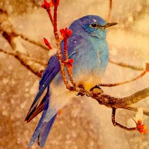 Meet your Posher, Lesley